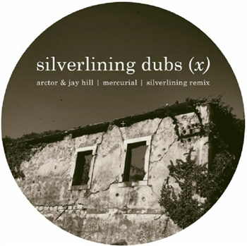 Arctor / Jay Hill / Ravi Mcarthur / Spook In The House - Silverlining Dubs (x) (Silverlining mix) - Silverlining Dubs