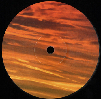 Various - Mountains Vol. 3 - Cervidae Recordings Various - Mountains Vol. 3 - Cervidae Recordings