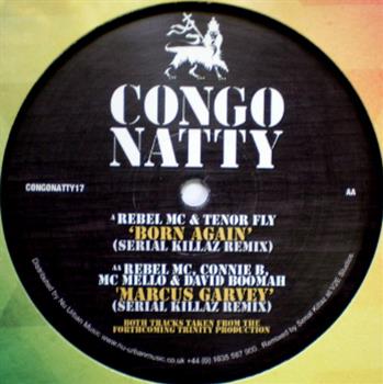 Rebel MC and Tenor Fly / Rebel MC - Congo Natty