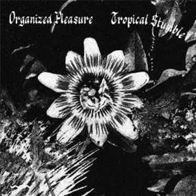 ORGANIZED PLEASURE / SATIN WALL - TROPICAL STUMBLE / DANS LES PROFONDEURS - STROOM RECORDS