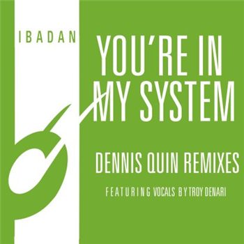 Kerri Chandler, Jerome Sydenham, Dennis - Youre In My System (dennis Quin Remixes) - IBADAN