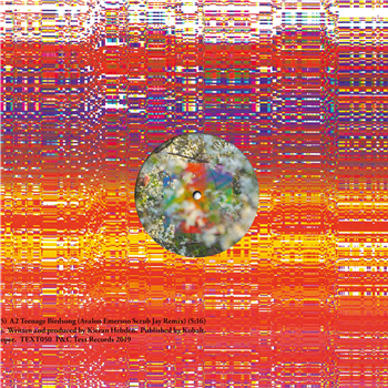 Four Tet - Teenage Birdsong - (One Per Person) - Text