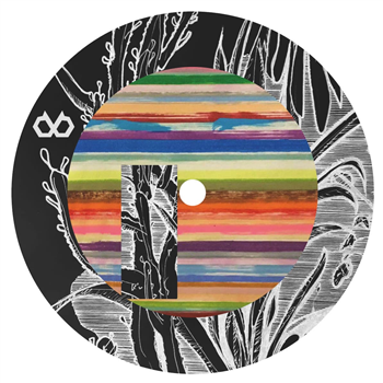 Schmeichel - Mna, Focus & NoBreakfast - Defrostatica Records Schmeichel - Mna, Focus & NoBreakfast - Defrostatica Records