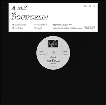 A.M.S & Dogworld! - Theory 001 - Club In Theory A.M.S & Dogworld! - Theory 001 - Club In Theory