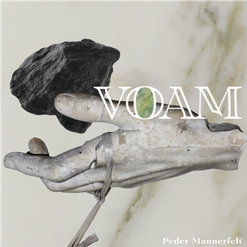 Peder Mannerfelt - Like We Never Existed - Voam