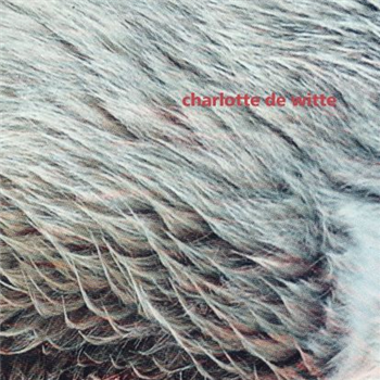 Charlotte De Witte - Vision Ep (kangding Ray Remix) - Figure