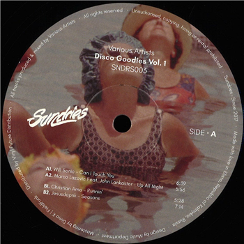 Various Artists - Disco Goodies Vol. 1 - Sundries