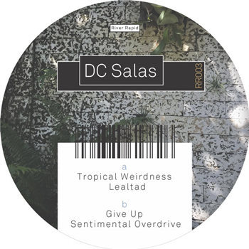 DC Salas - RR003 EP - River Rapid