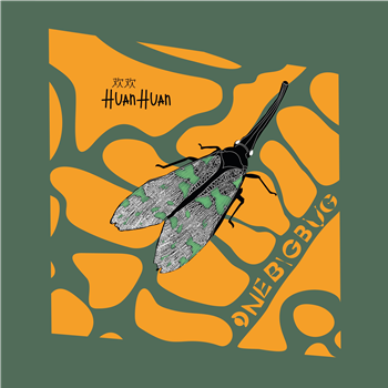 HUAN HUAN - One Big Bug - Ran Groove