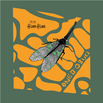 HUAN HUAN - One Big Bug - Ran Groove HUAN HUAN - One Big Bug - Ran Groove