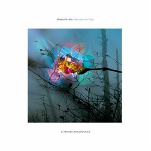 Blinkar FRAN NORR - Metaphors For Things (limited transparent smoke coloured vinyl gatefold 2xLP + MP3 download code) - A Strangely Isolated Place
