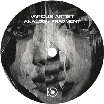 Various Artists - Analog/Fragment - ALDERIC RECORDS