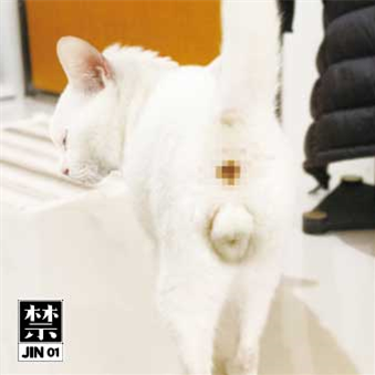 Initials B.B. / LuJiachi / Gonno / Samo DJ - ? - JIN Initials B.B. / LuJiachi / Gonno / Samo DJ - ? - JIN