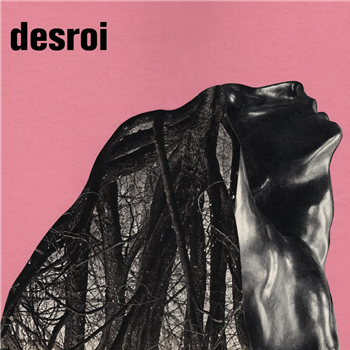 Desroi - Vermillion Border - DESROI