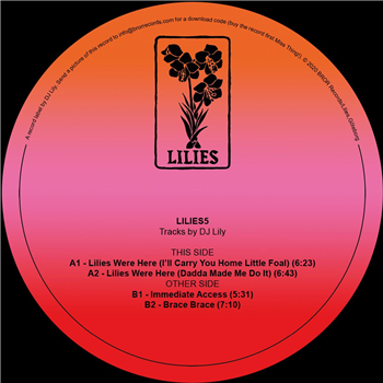DJ Lily - LILIES5 - Lilies DJ Lily - LILIES5 - Lilies