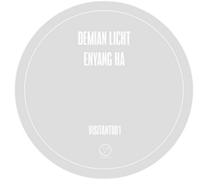 Demian Light & Enyang Ha - Visitant