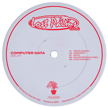 Computer Data - Baum EP - Lost Palms