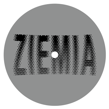 EARTH TRAX / NEWBORN JR / PRIVATE PRESS - ZIEMIA 002 - ZIEMIA EARTH TRAX / NEWBORN JR / PRIVATE PRESS - ZIEMIA 002 - ZIEMIA