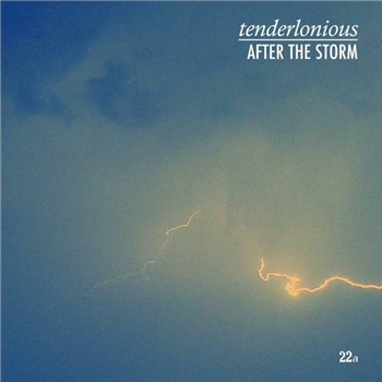 TENDERLONIOUS - AFTER THE STORM - 22a
