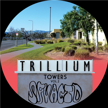 SFV Acid - Trillium Towers Vol.2 - SFV Records