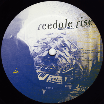 Reedale Rise - Doing Regular Things (2025 Transparant Magenta vinyl) - Frustrated Funk