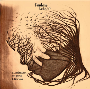 Paulem - Niche EP - Vinyl Speed Adjust