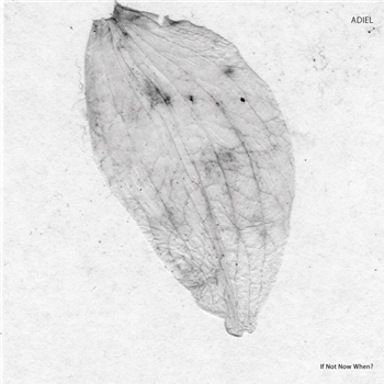 ADIEL - IF NOT NOW WHEN - Stroboscopic Artefacts