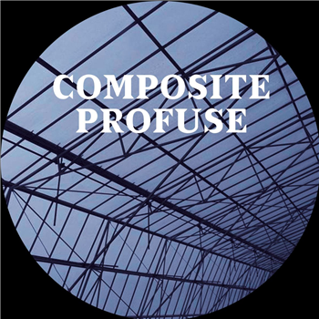Composite Profuse - North Electric Mist EP w/ Animistic Beliefs Remix - Onrijn Records
