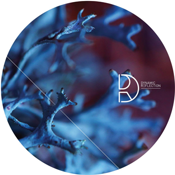 Viels incl. Neel Remix - Pure Coincidence EP - Dynamic Reflection