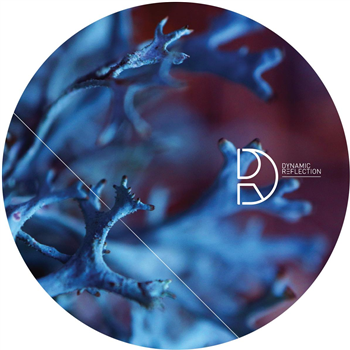 Viels incl. Neel Remix - Pure Coincidence EP - Dynamic Reflection Viels incl. Neel Remix - Pure Coincidence EP - Dynamic Reflection