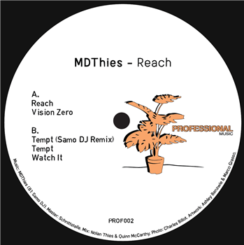 MDThies - Reach - Professional Music