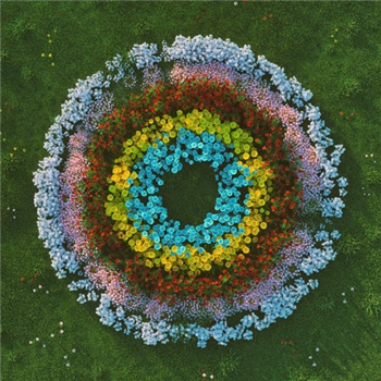 Soft Focus - Flowers - San-kofa Rhythm Records Soft Focus - Flowers - San-kofa Rhythm Records