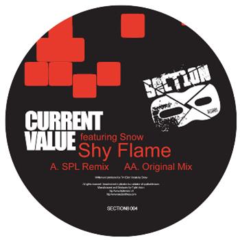 Current Value & Snow - Section 8