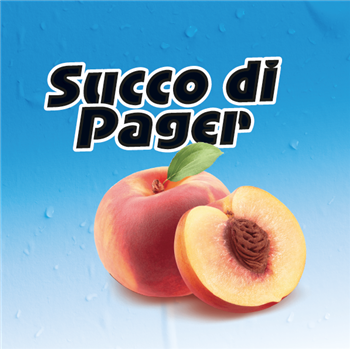 Various Artists - Succo di Pager EP - Pager