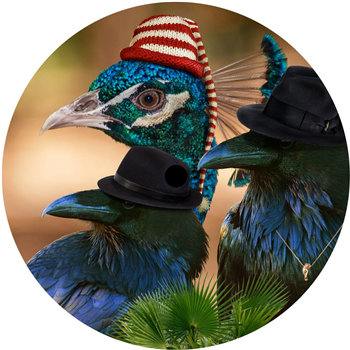 Tom Ries / Birdsmakingmachine - Bird Gang - Slowdy Mowdy