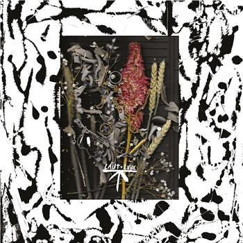 Luca Musto - Call Me On The Regular - Laut & Luise Luca Musto - Call Me On The Regular - Laut & Luise