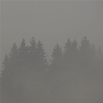 Max Loderbauer - Donnerwetter - Non Standard Productions Max Loderbauer - Donnerwetter - Non Standard Productions