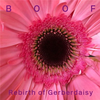 Boof - Rebirth Of Gerberdaisy - 2x12" - Running Back