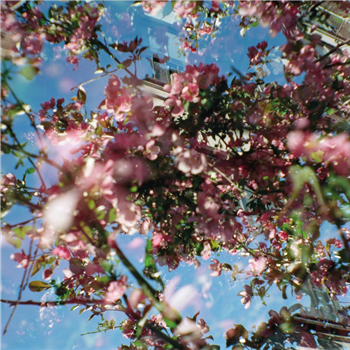 Nahash - Flowers of the Revolution - 2LP - SVBKVLT Nahash - Flowers of the Revolution - 2LP - SVBKVLT