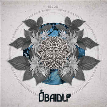 Zohki / Bídlee - Down the Road - Obaidlí Records Zohki / Bídlee - Down the Road - Obaidlí Records