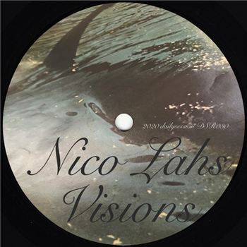 Nico Lahs - Visions - DAILYSESSION RECORDS