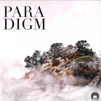 Oliver Schories - Paradigm LP 3x12" - Pracht Oliver Schories - Paradigm LP 3x12" - Pracht