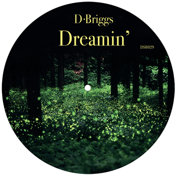 D Briggs - Dreamin - DAILYSESSION RECORDS