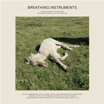Various Artists - Breathing Instruments - touchtheplants