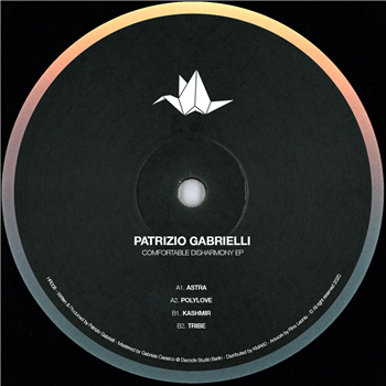 Patrizio Gabrielli - Comfortable Disharmony EP - Heko Records
