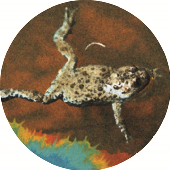 Leandro Tourinho & Gregorio Vandemandier / Zdon & Slacks - Frog Dog Leandro Tourinho & Gregorio Vandemandier / Zdon & Slacks - Frog Dog