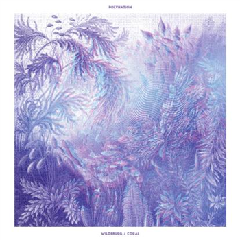 Polynation - Wildeburg / Coral - Atomnation Polynation - Wildeburg / Coral - Atomnation