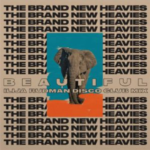 The BRAND NEW HEAVIES - TBNH (Ilija Rudman Mixes) (7") - Imogen