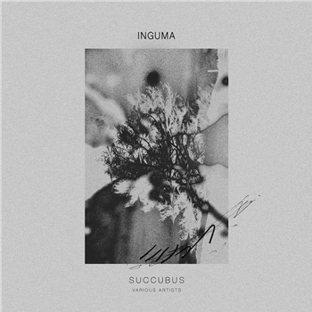 Various Artists - Succubus - Inguma Records