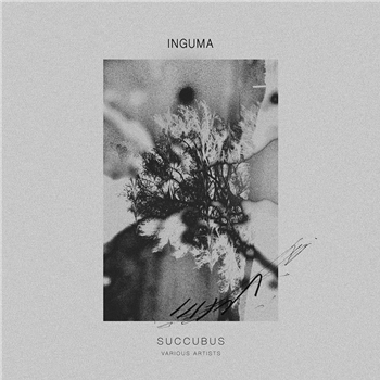 Various Artists - Succubus - Inguma Records Various Artists - Succubus - Inguma Records